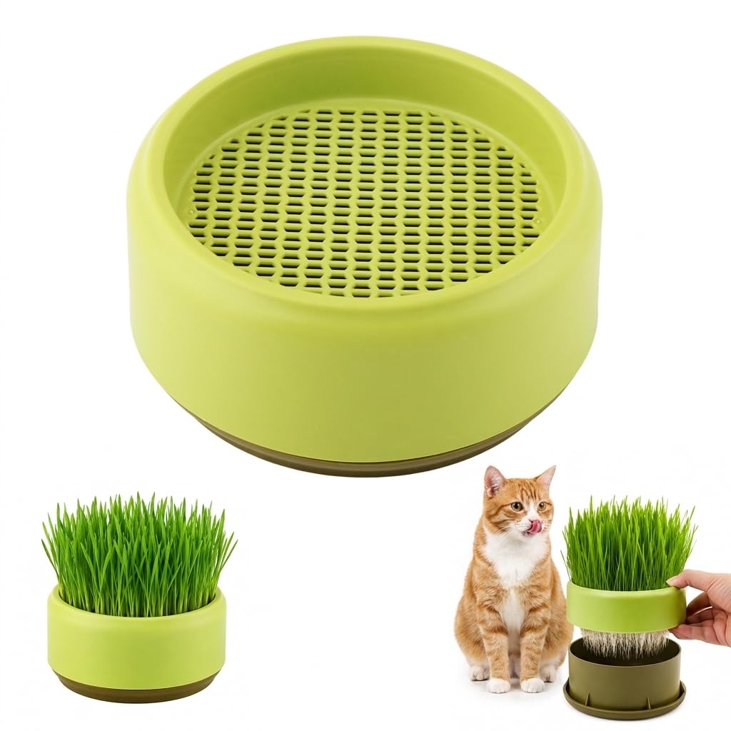 Hydroponic Cat Grass Grow Box Y8829