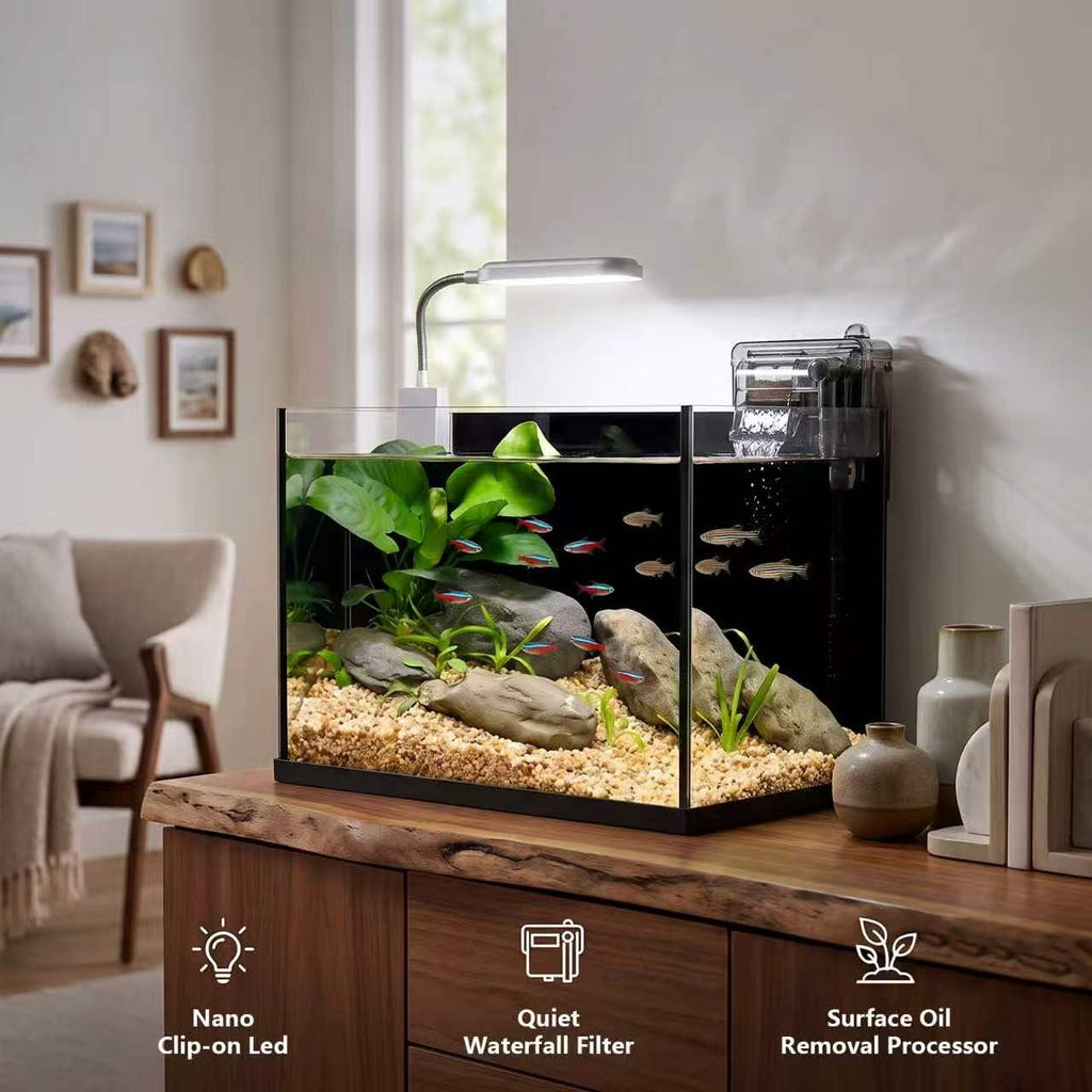 2.8 Gallon Glass Aquarium Starter Kit Z677