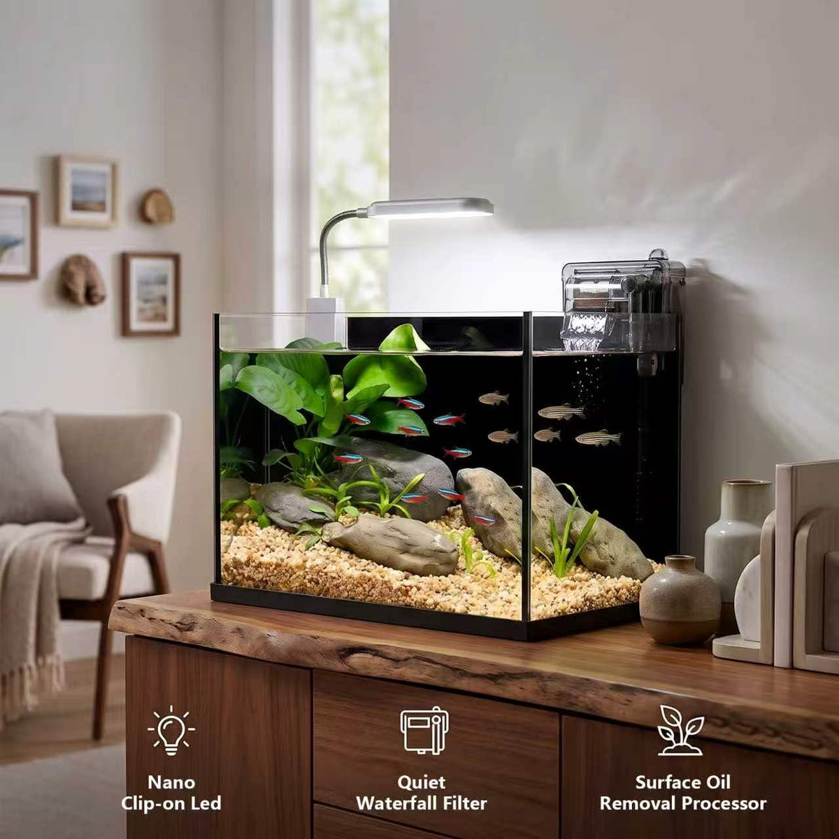 2.8 Gallon Glass Aquarium Starter Kit Z677
