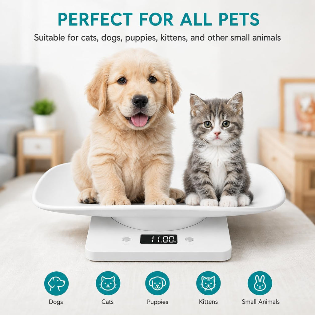 Digital Pet Scale with Removable Tray & Tape Measure B969654