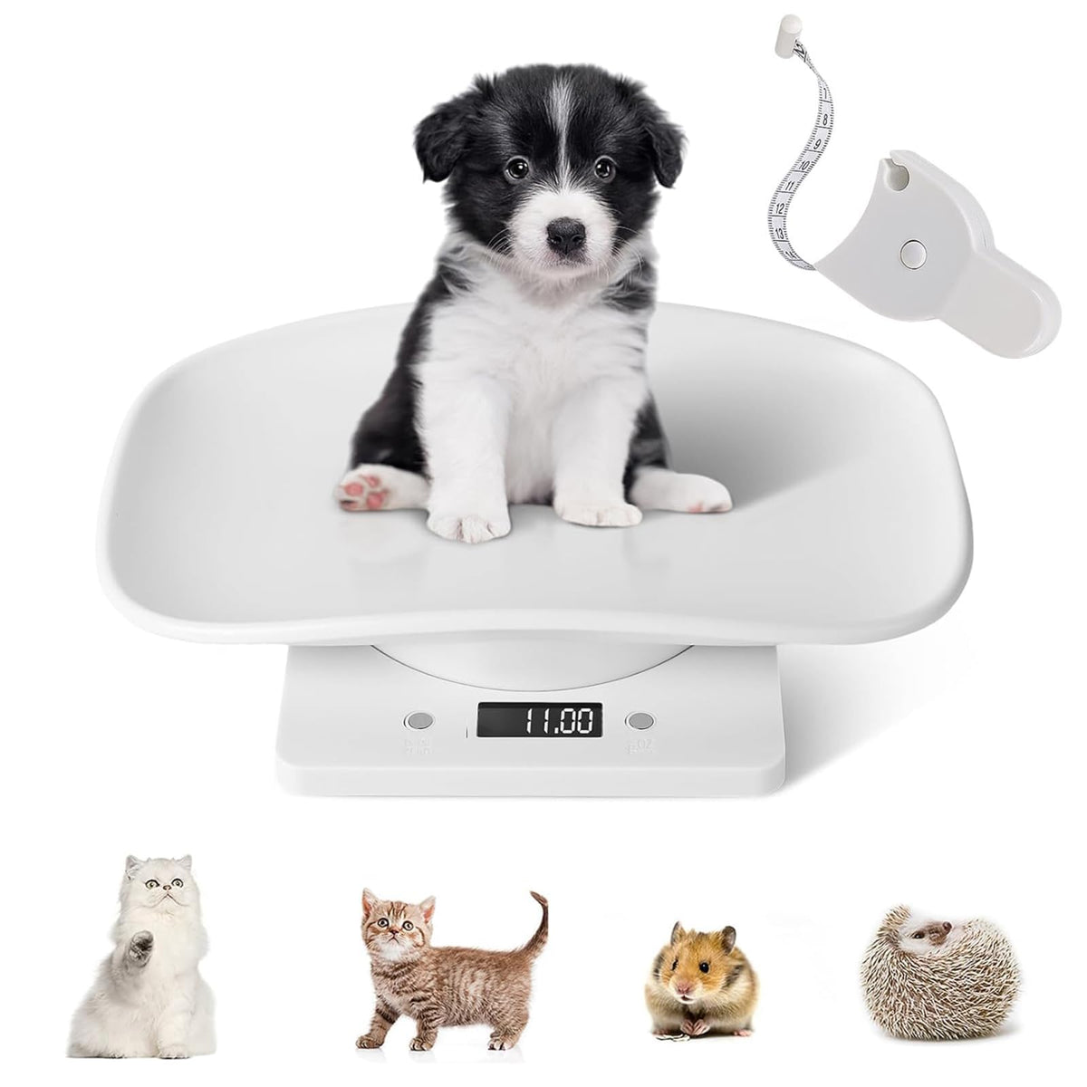Digital Pet Scale with Removable Tray & Tape Measure B969654