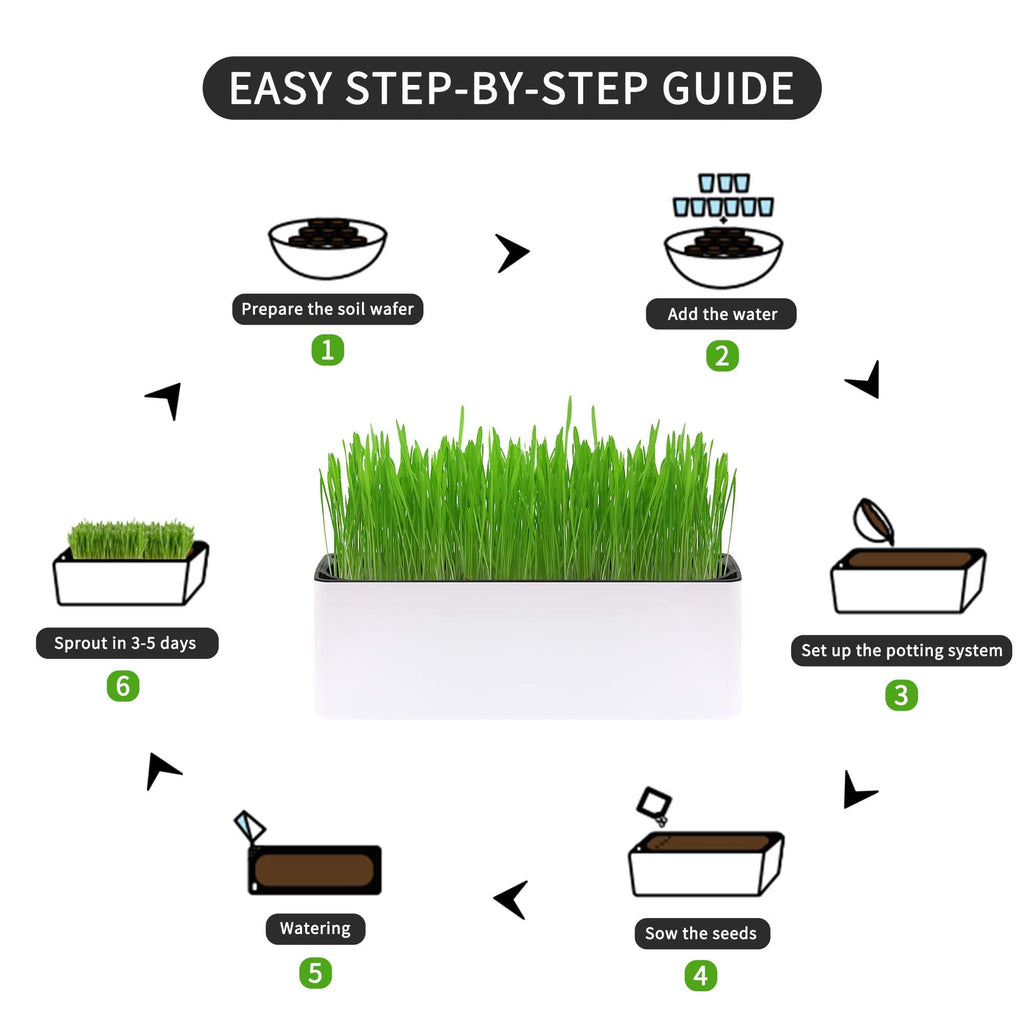 Indoor Cat Grass with Organic Seed Mix Rectangular Planter Y148387
