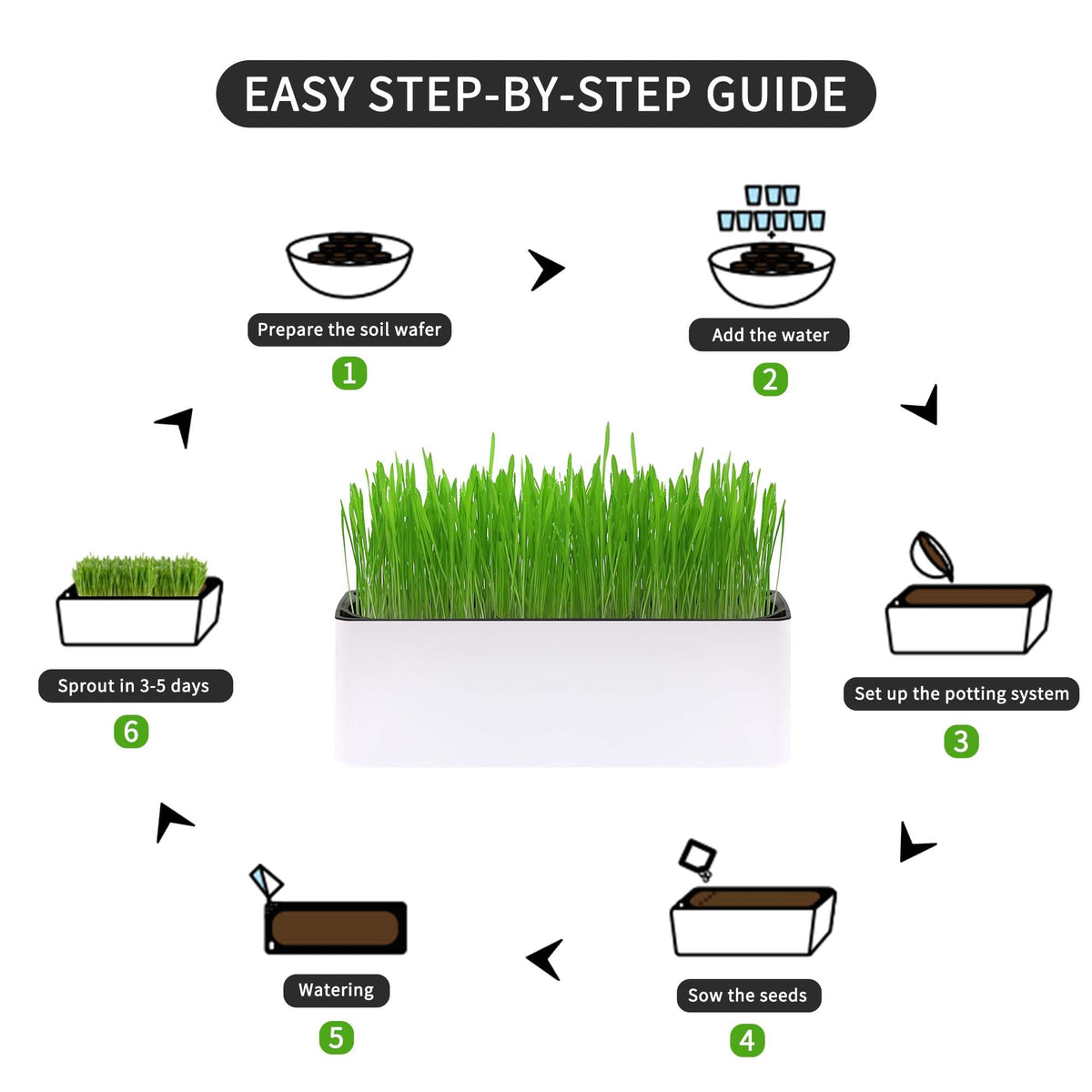 Indoor Cat Grass with Organic Seed Mix Rectangular Planter Y148387