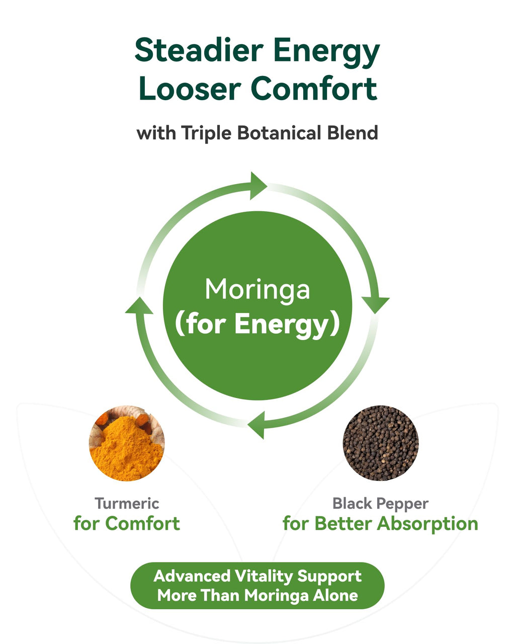 Moringa Capsules 1000mg 10:1 Moringa Leaf Extract 60 Count C488374