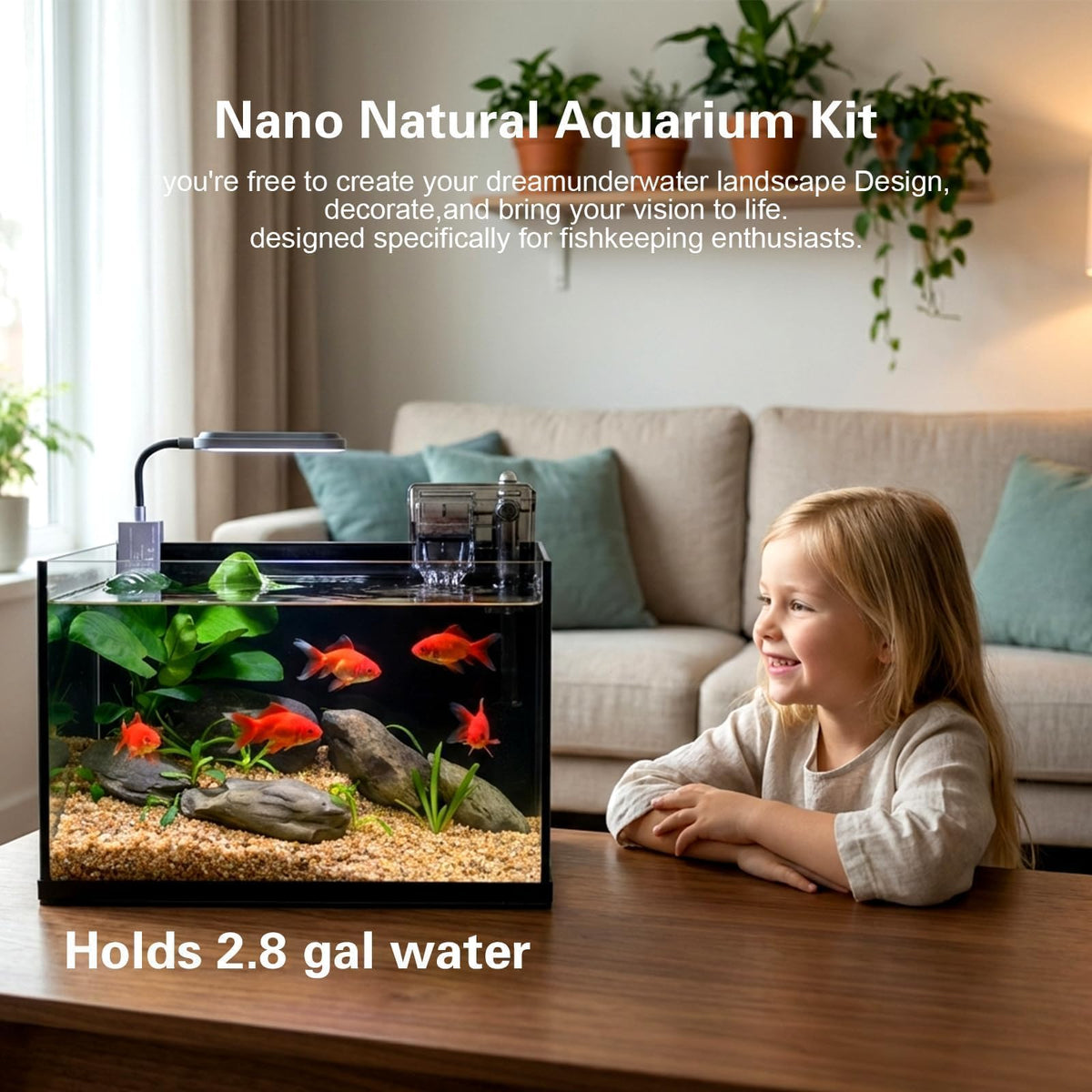 2.8 Gallon Glass Aquarium Starter Kit Z677