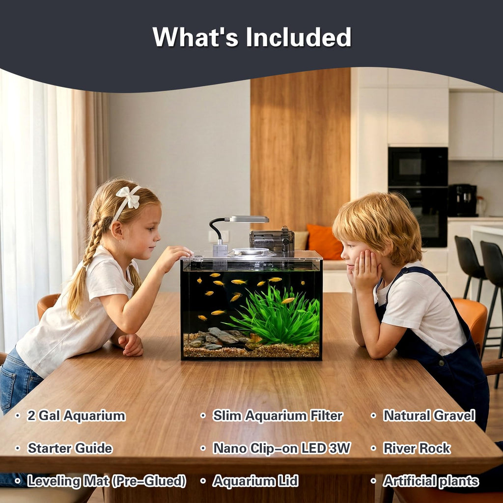 2 Gallon Glass Aquarium Set J98328