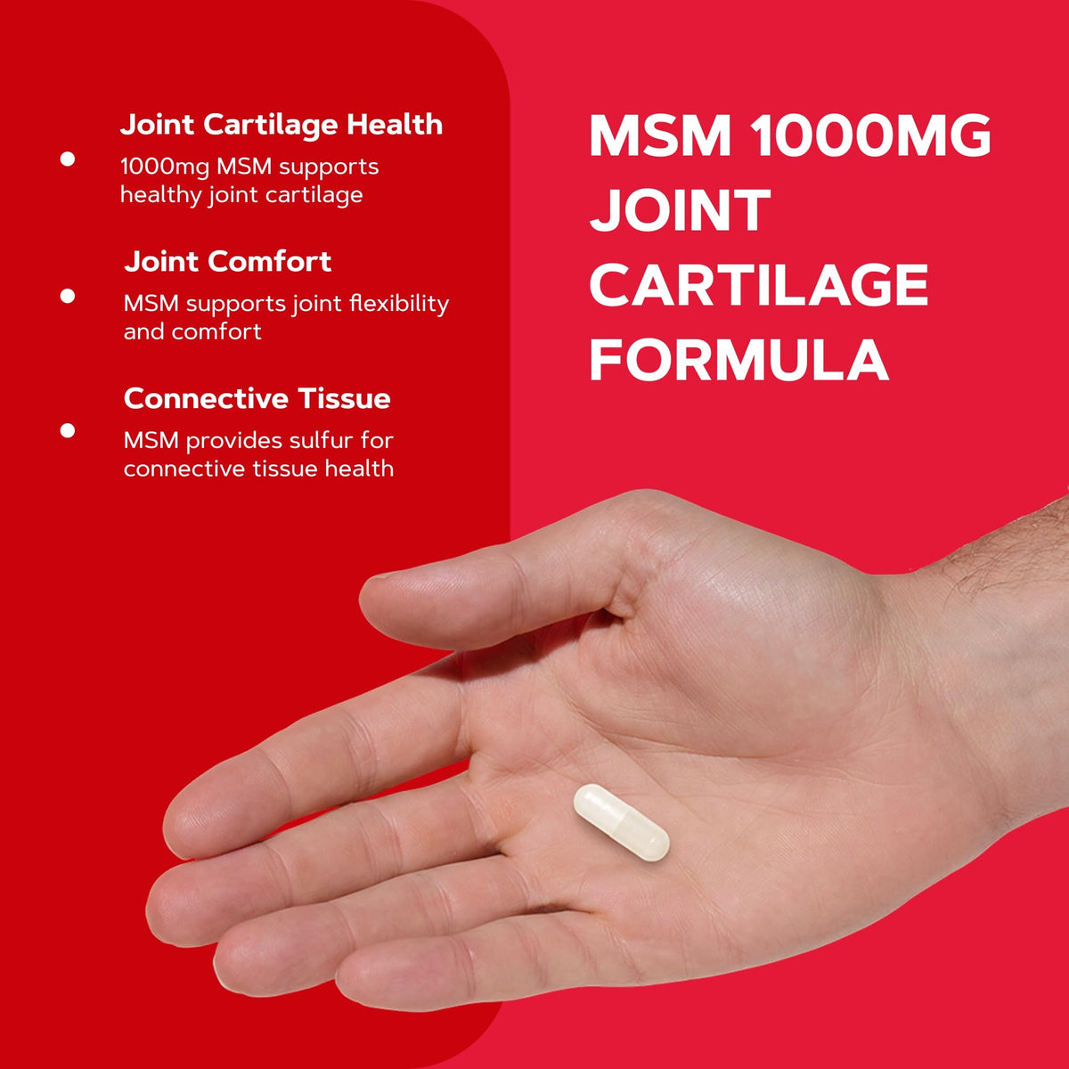 MSM 1000mg Supplement G305