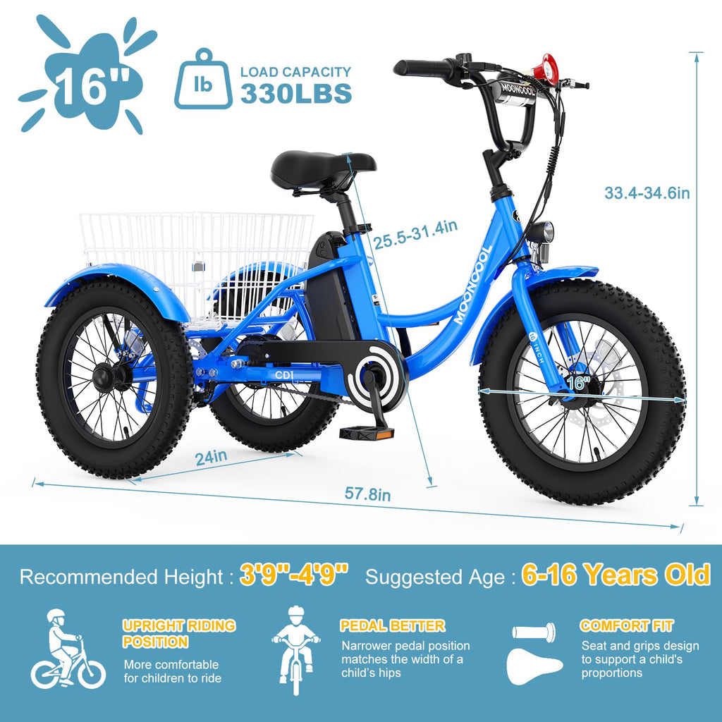 16 Inch 250W 24V Blue Electric Tricycle M399632