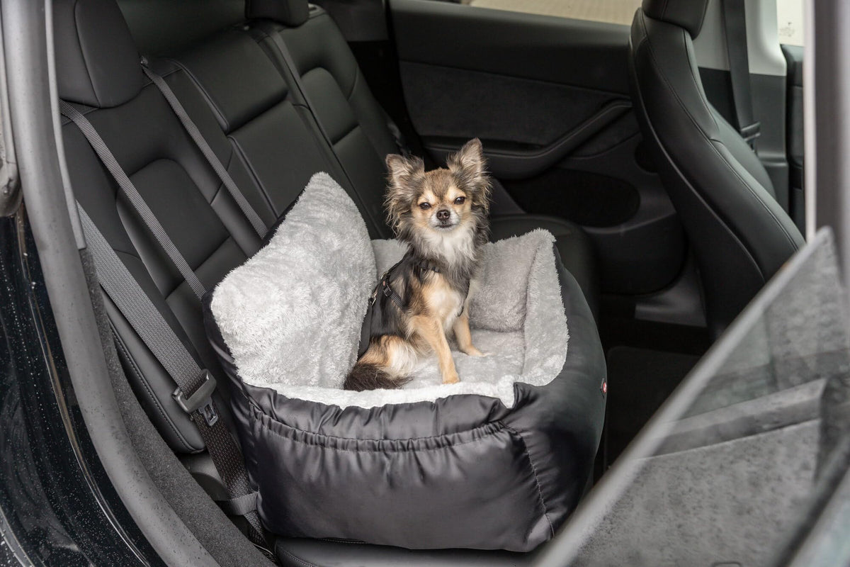 Convertible Dog Car Seat W134925