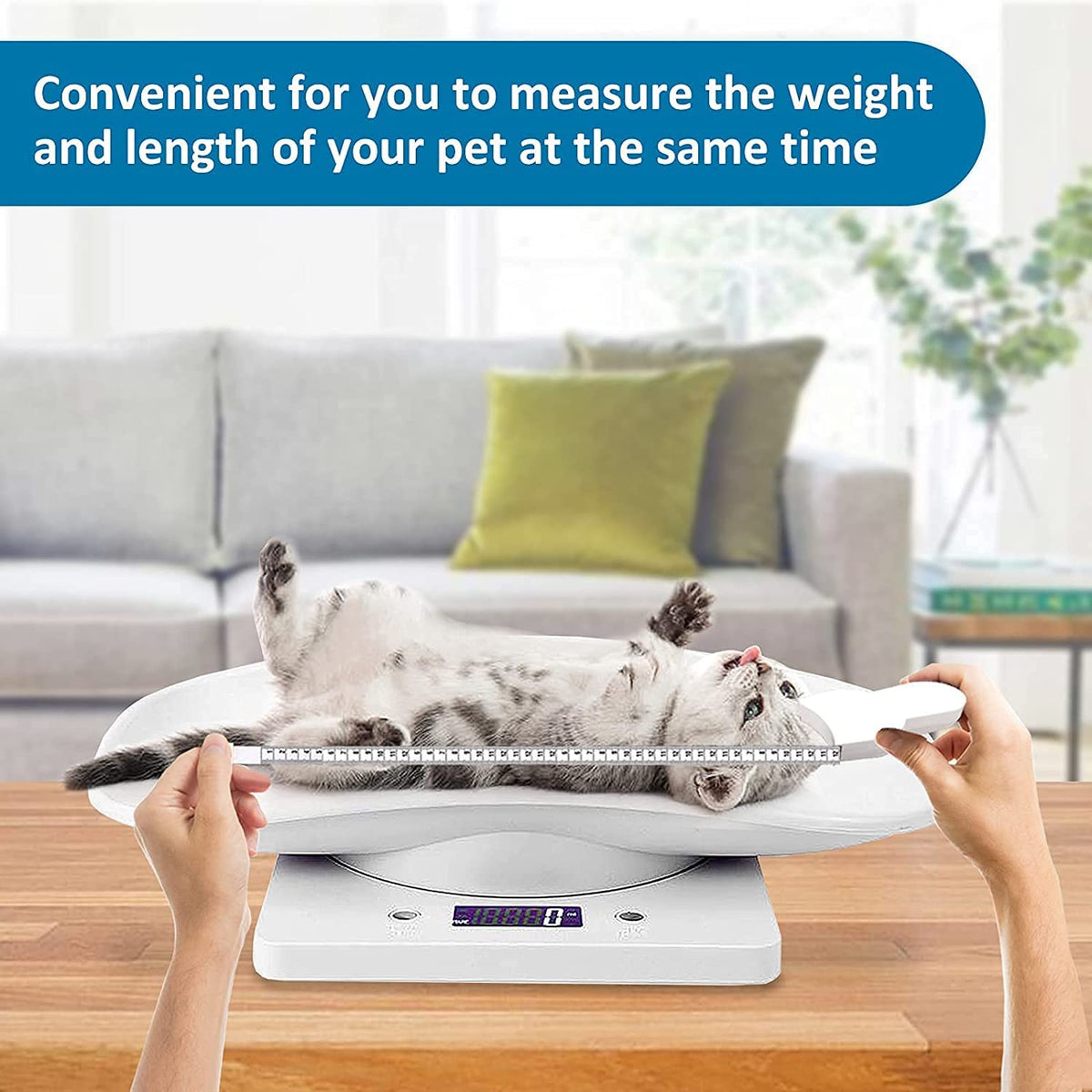 Digital Pet Scale with Removable Tray & Tape Measure B969654