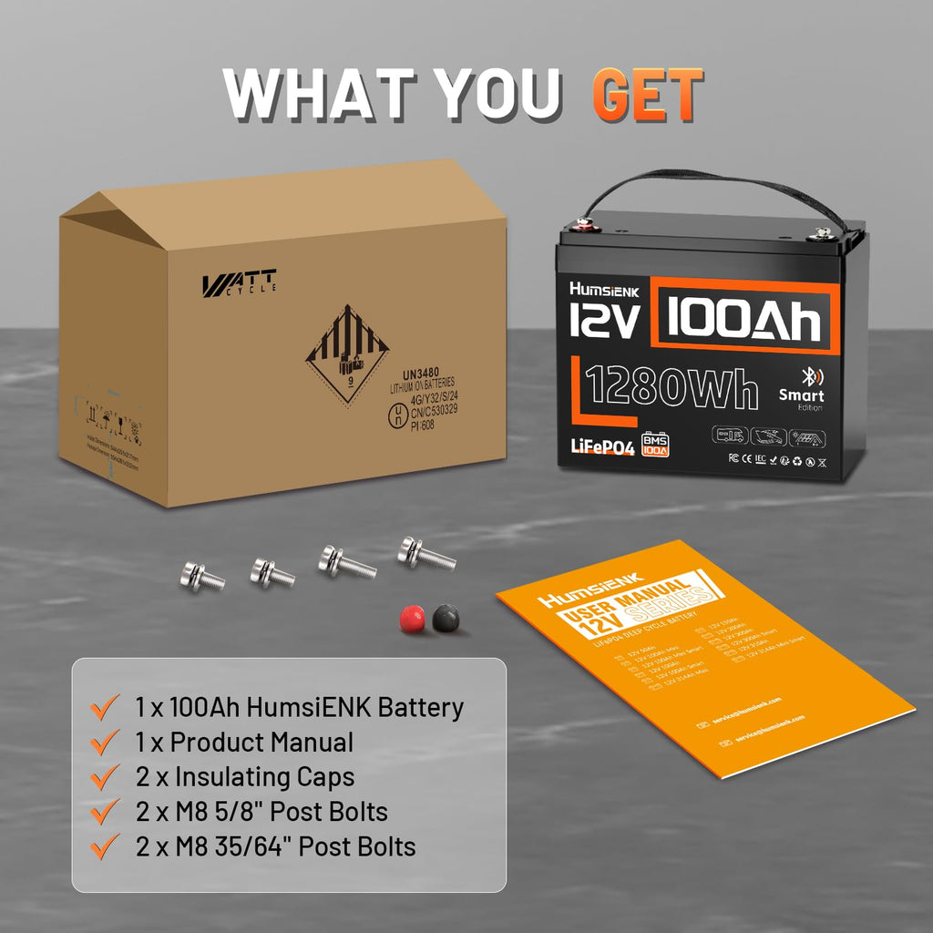 12V 100Ah LiFePO4 Lithium Battery with Bluetooth P903407