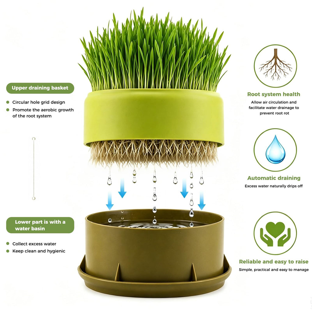 Hydroponic Cat Grass Grow Box Y8829