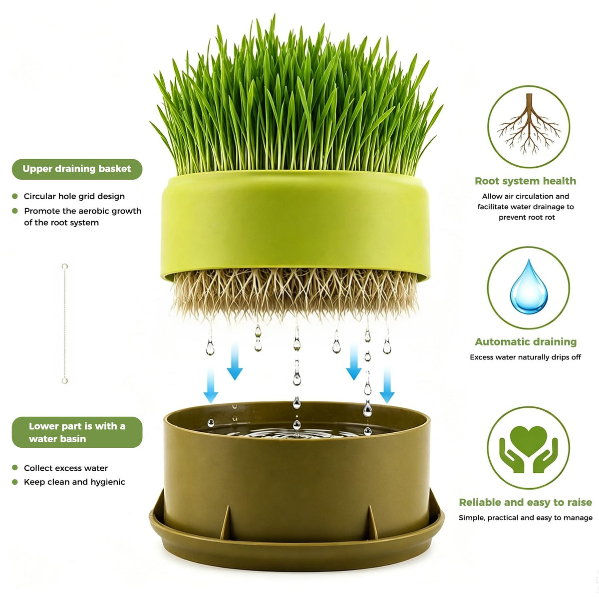 Hydroponic Cat Grass Grow Box Y8829