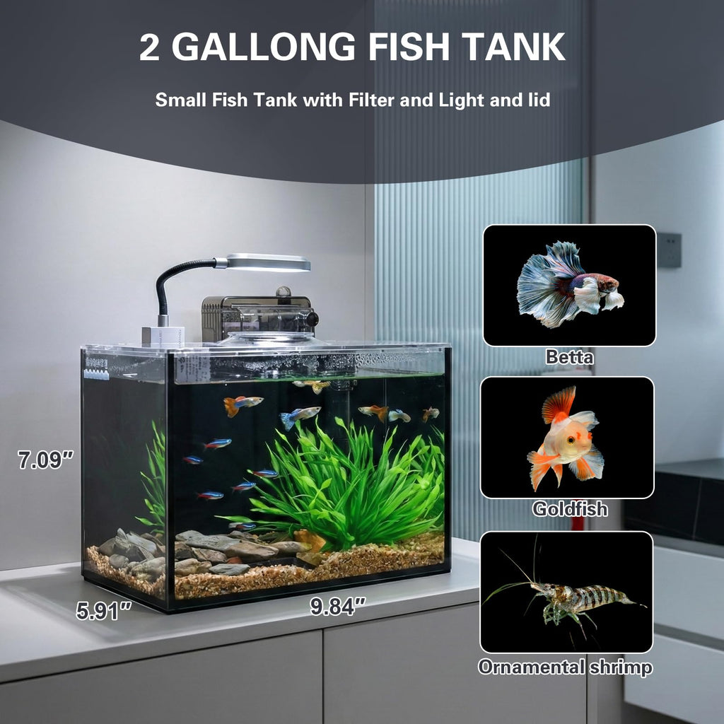 2 Gallon Glass Aquarium Set J98328