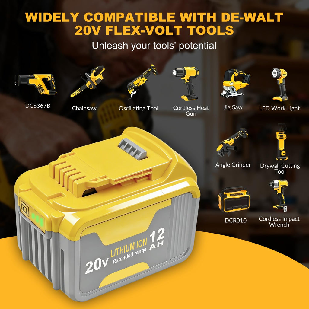 20V Lithium ion Battery 2 Pack S8243