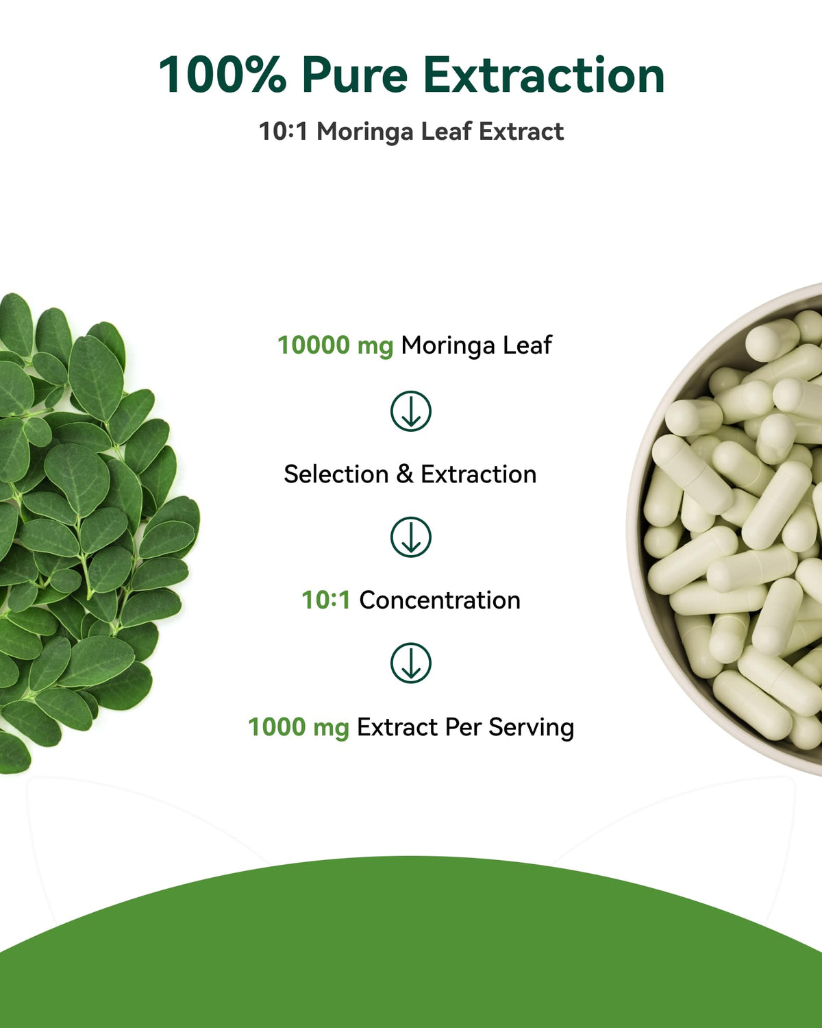 Moringa Capsules 1000mg 10:1 Moringa Leaf Extract 60 Count C488374