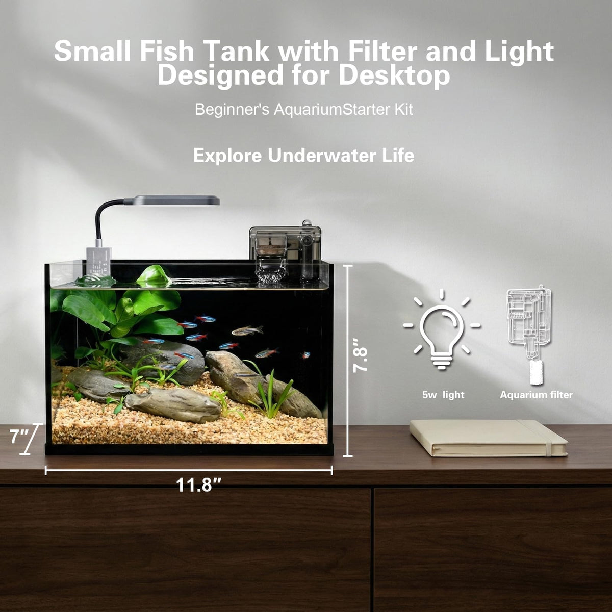 2.8 Gallon Glass Aquarium Starter Kit Z677