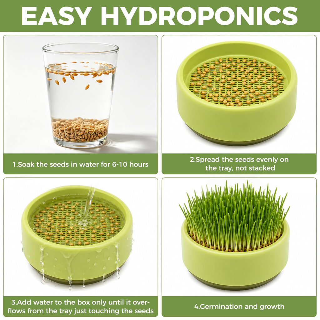 Hydroponic Cat Grass Grow Box Y8829