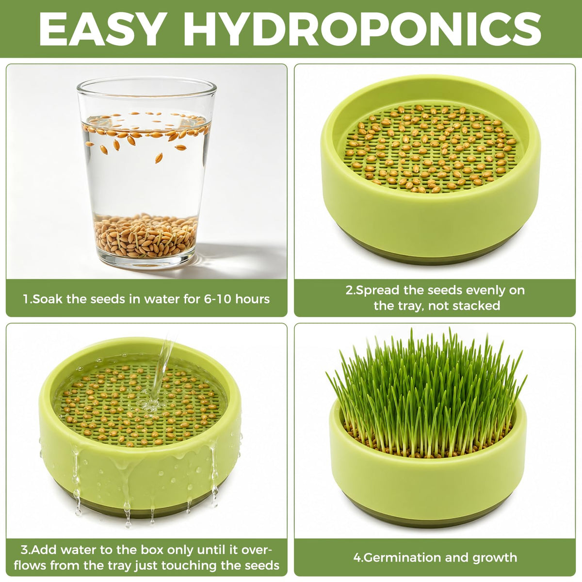Hydroponic Cat Grass Grow Box Y8829