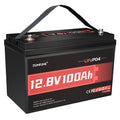 12V 100Ah LiFePO4 Battery Group 31 I2965