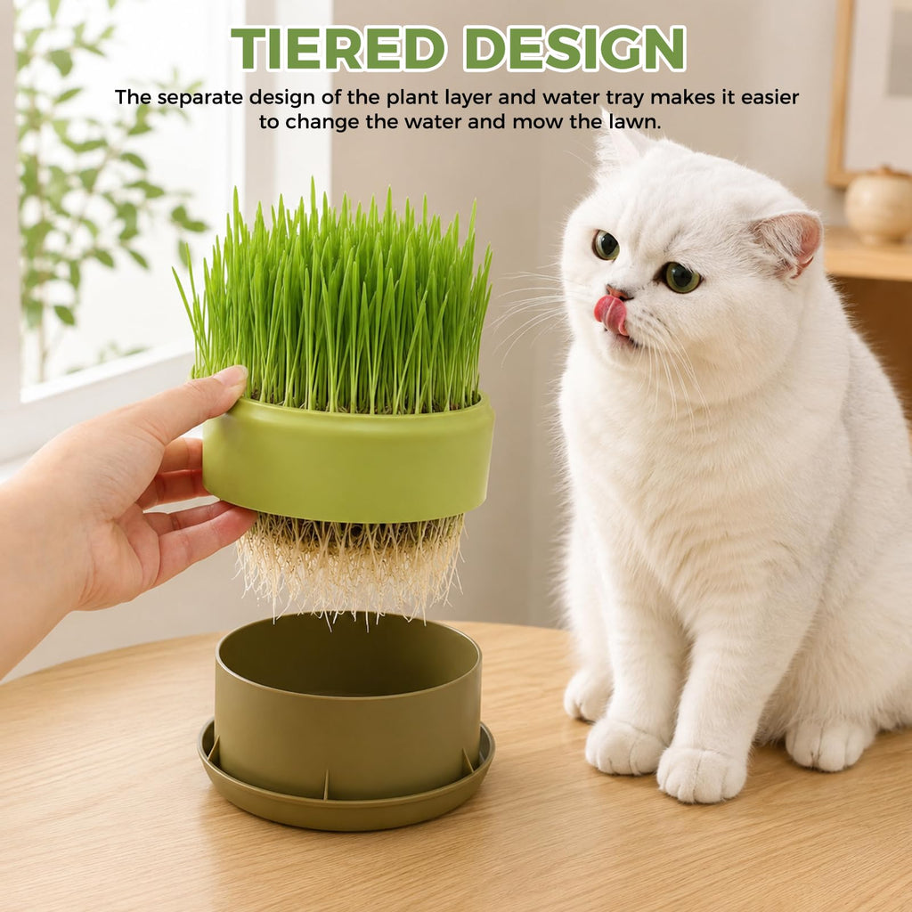 Hydroponic Cat Grass Grow Box Y8829