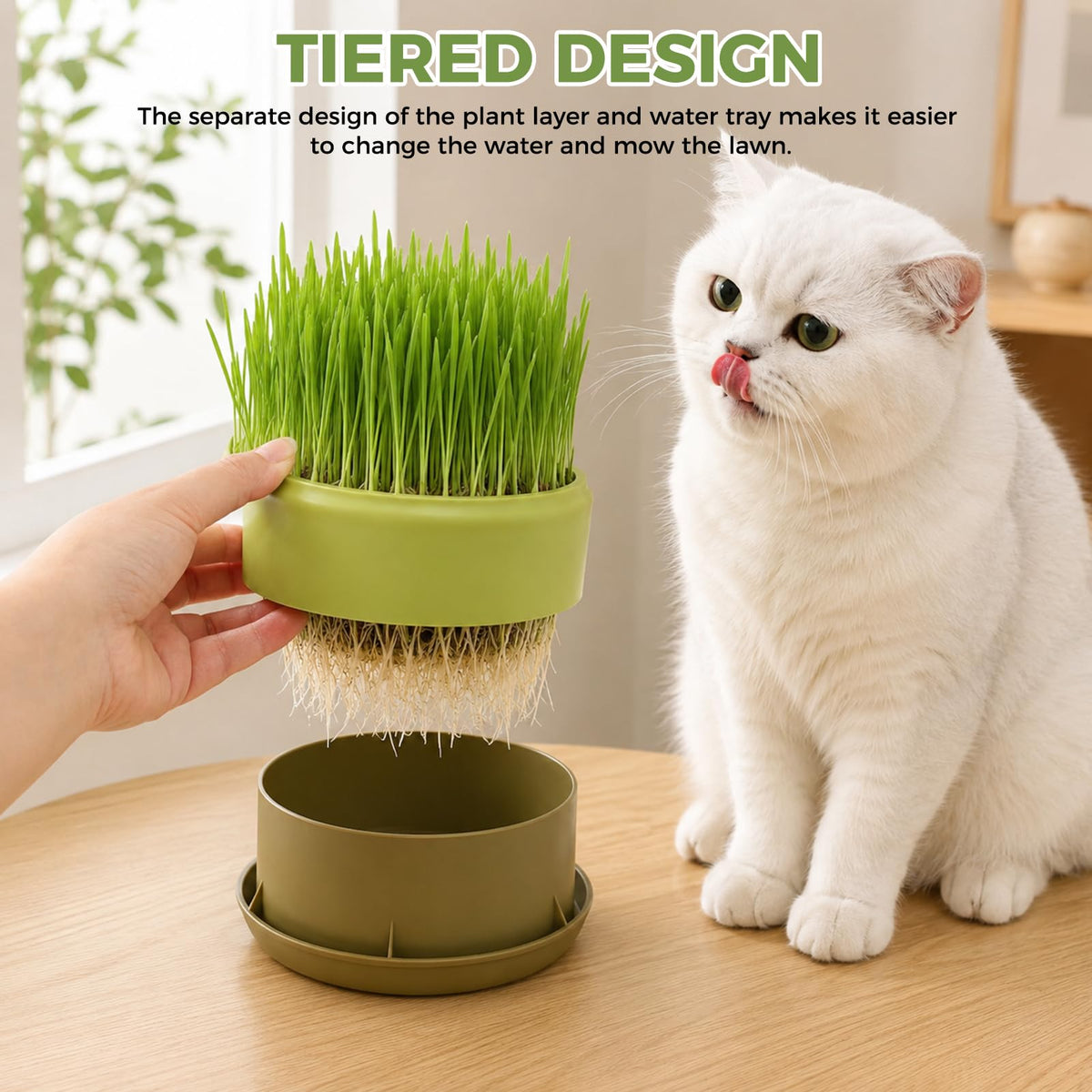 Hydroponic Cat Grass Grow Box Y8829