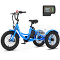 16 Inch 250W 24V Blue Electric Tricycle M399632