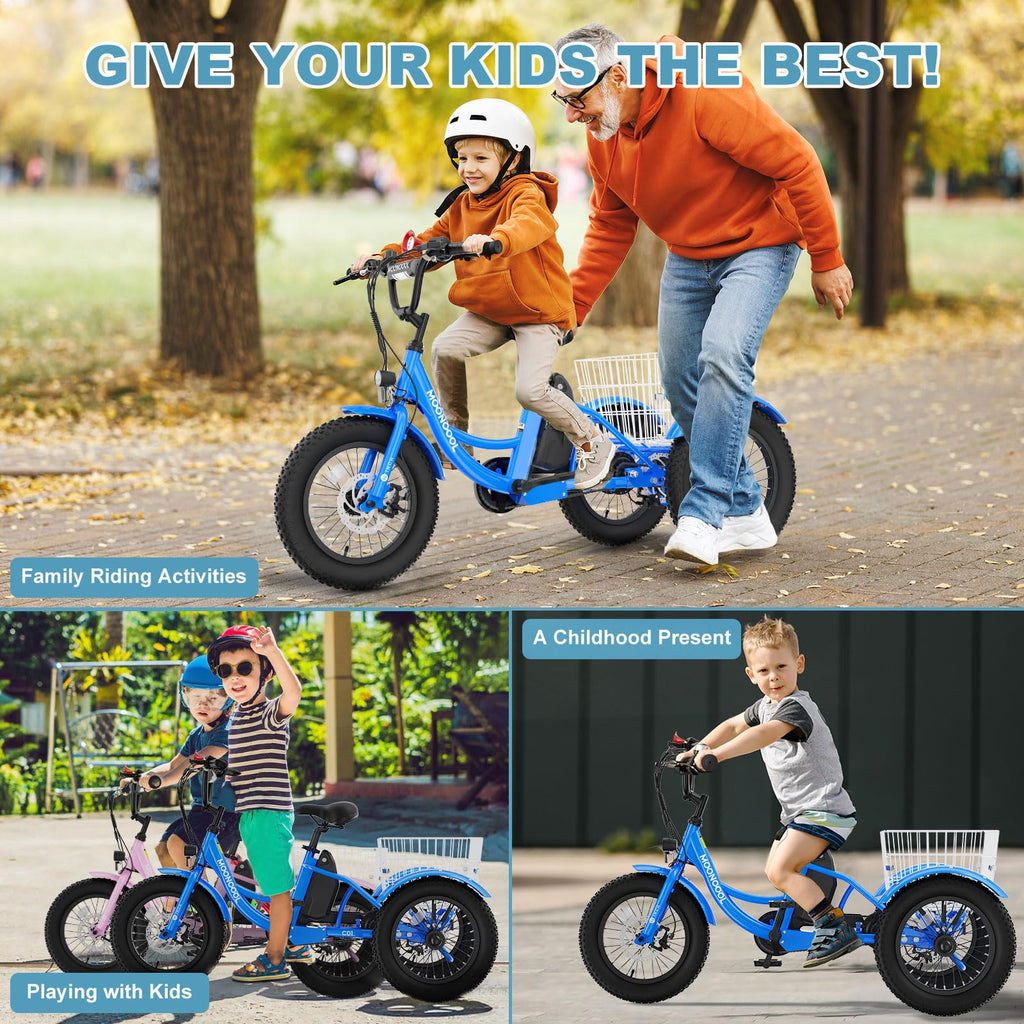 16 Inch 250W 24V Blue Electric Tricycle M399632