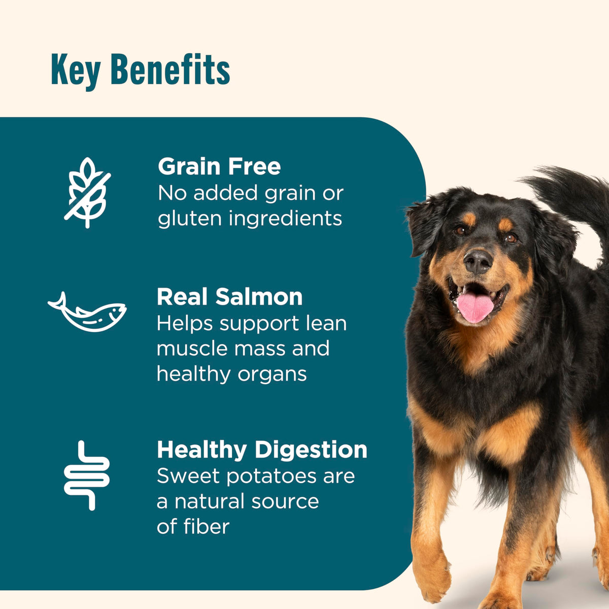 Grain Free Salmon Dry Dog Food 23 lb. Bag G79125
