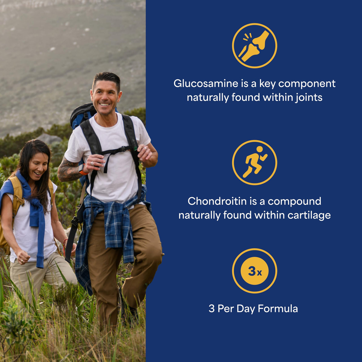 Glucosamine Chondroitin MSM Dietary Supplement M394