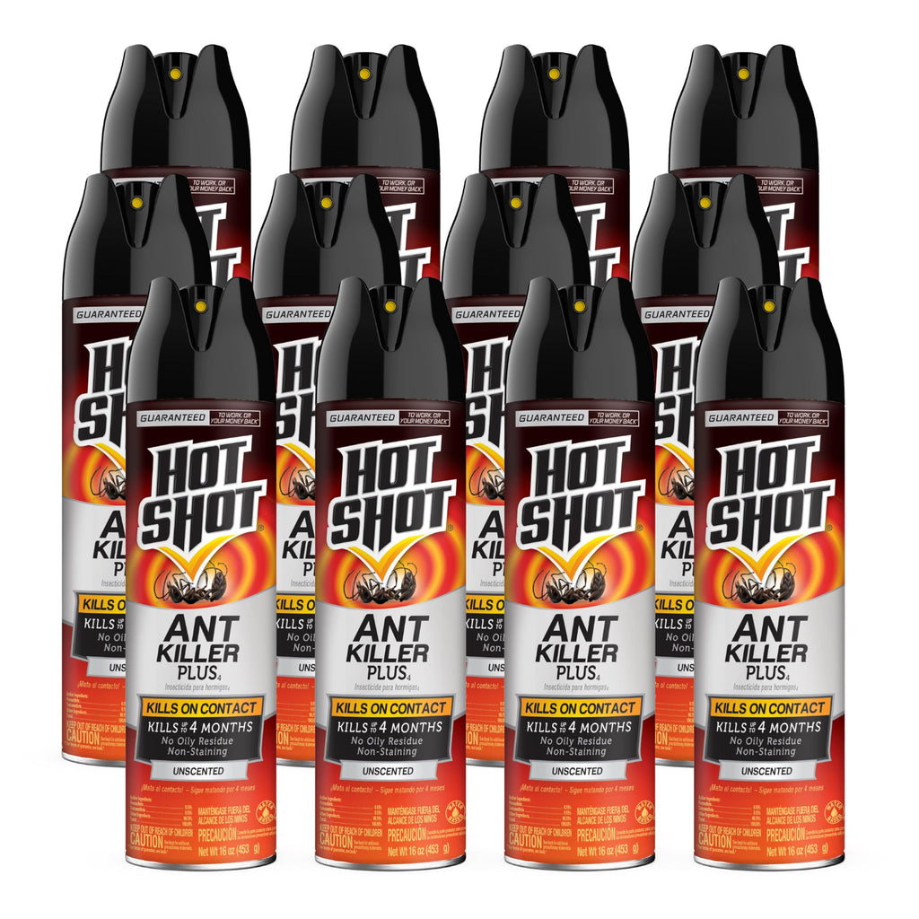 Ant Killer Aerosol 16 Oz Unscented 12 Pk Y723148
