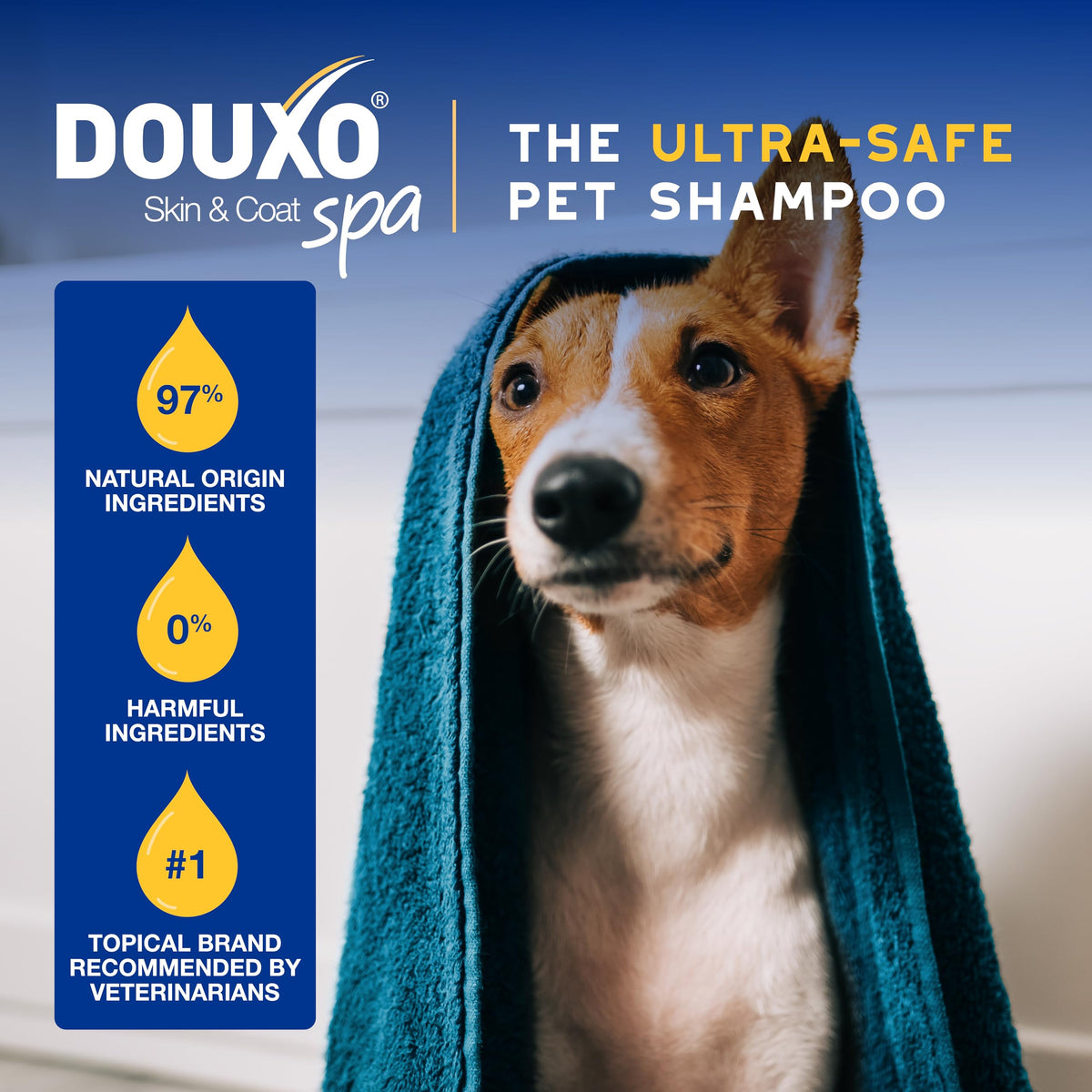 Oatmeal Dog Conditioner, 16 fl oz J660