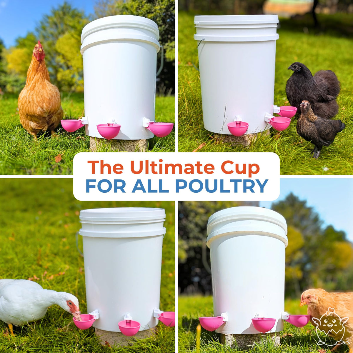 Automatic Chicken Waterer Cups 5 Pack P614