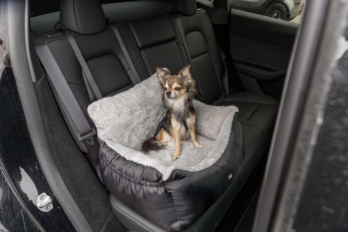 Convertible Dog Car Seat W134925
