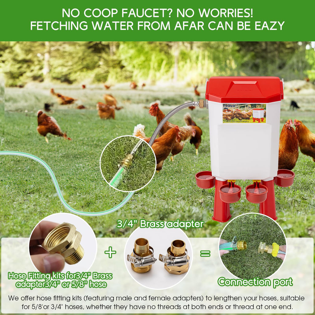 Automatic Chicken Waterer with Stainless Steel Hose D1014
