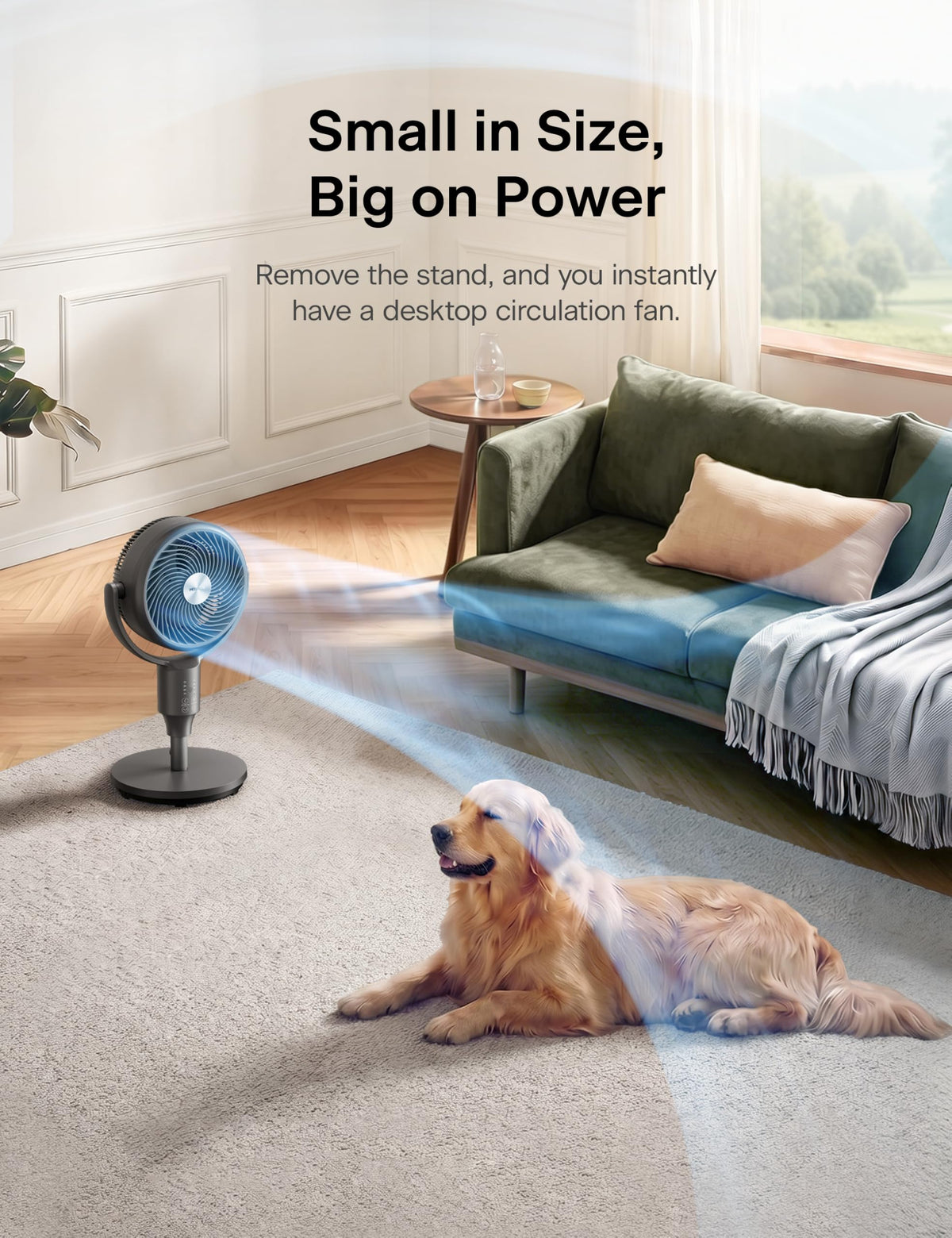 Grey Air Circulator Fan with Remote Y5958