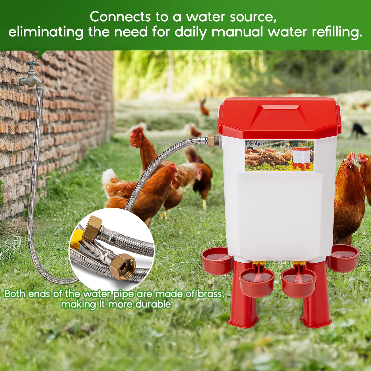 Automatic Chicken Waterer with Stainless Steel Hose D1014
