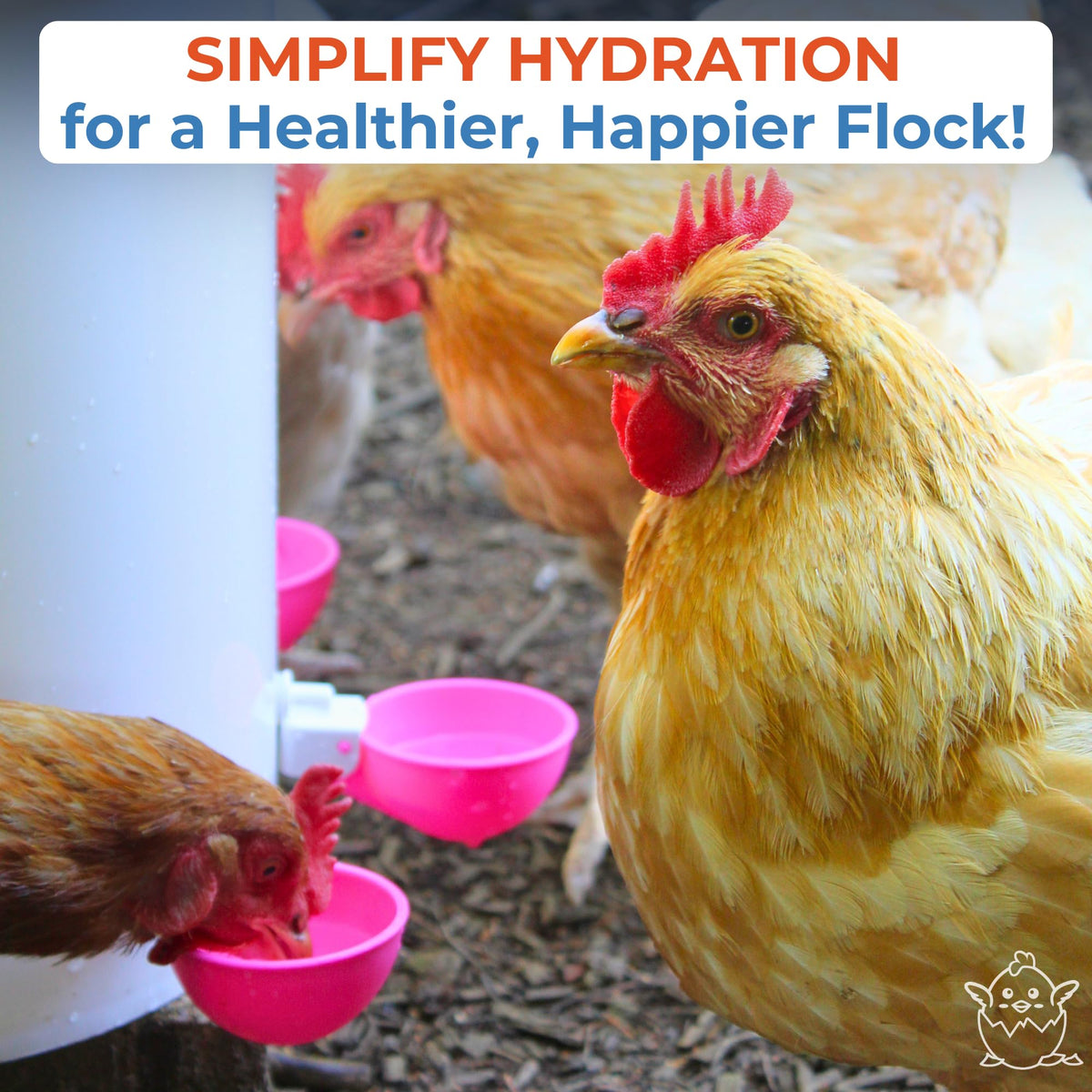 Automatic Chicken Waterer Cups 5 Pack P614