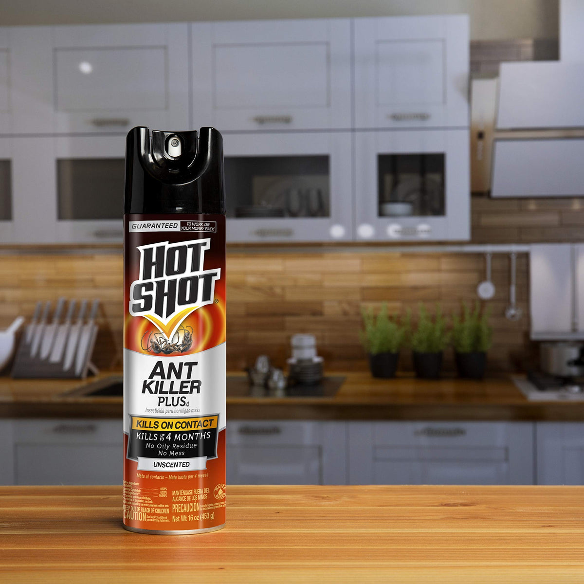 Ant Killer Aerosol 16 Oz Unscented 12 Pk Y723148