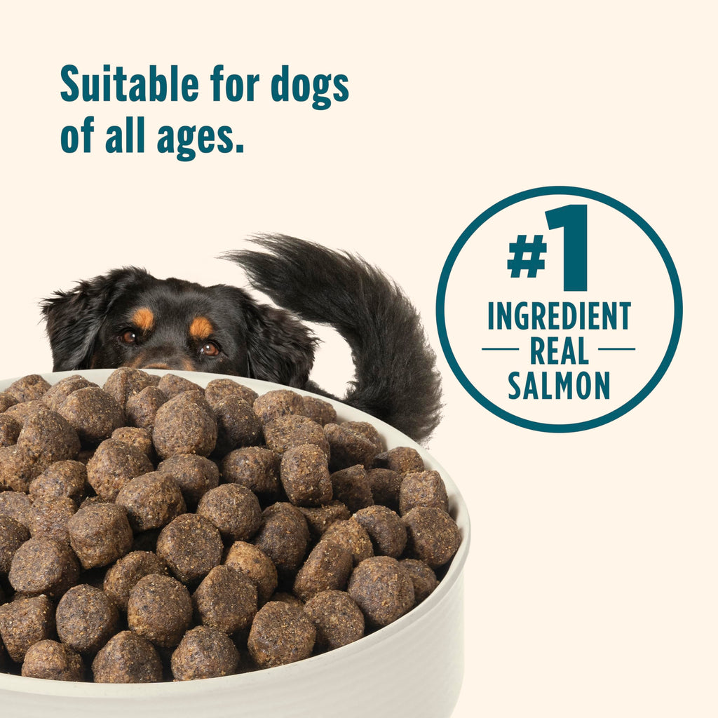 Grain Free Salmon Dry Dog Food 23 lb. Bag G79125
