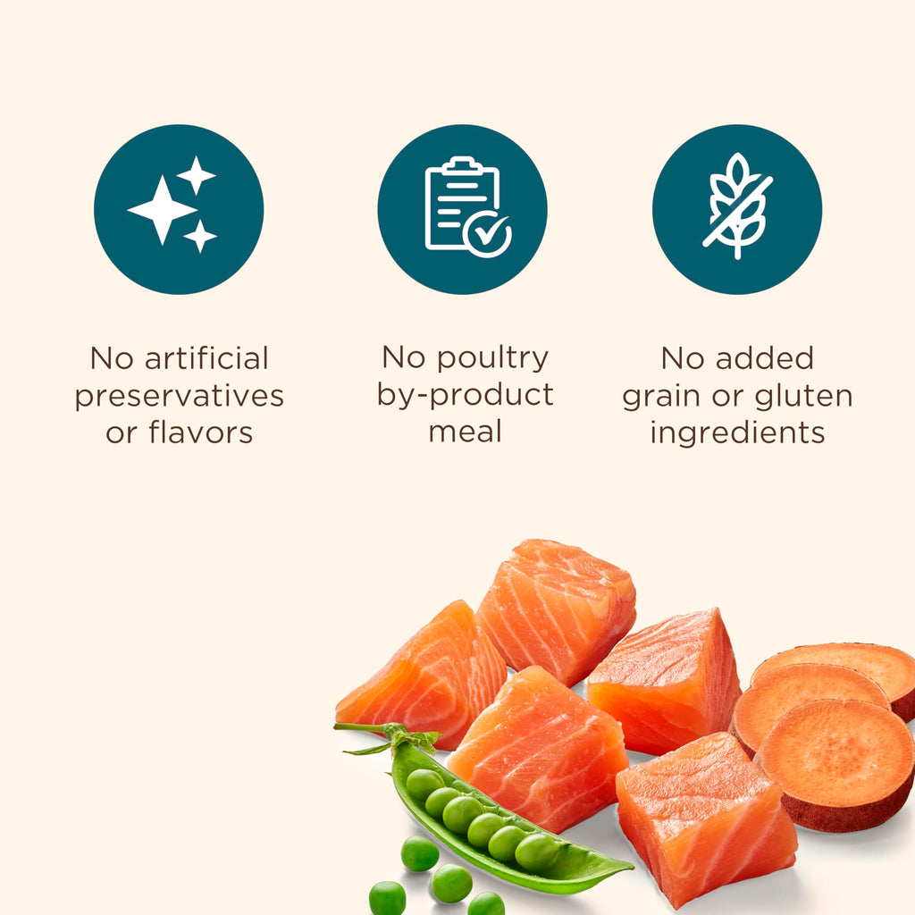 Grain Free Salmon Dry Dog Food 23 lb. Bag G79125