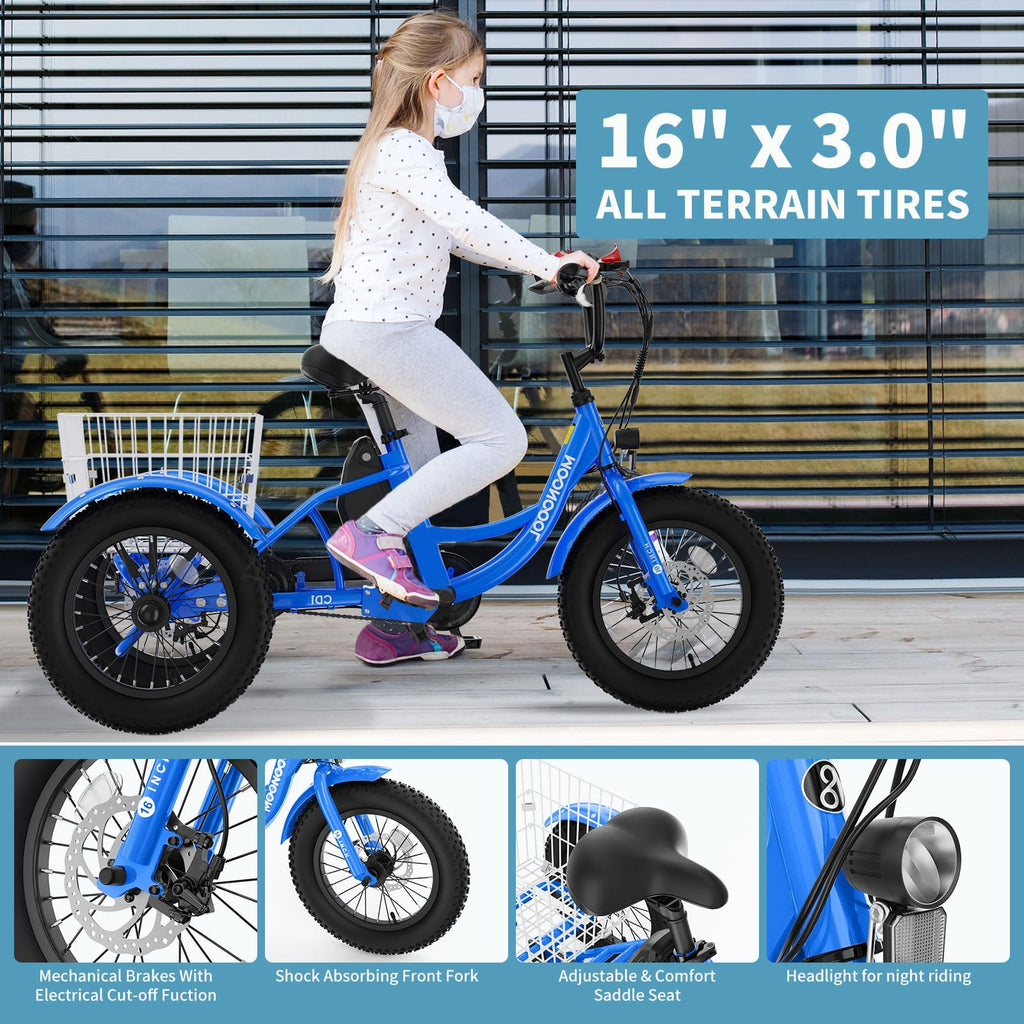 16 Inch 250W 24V Blue Electric Tricycle M399632