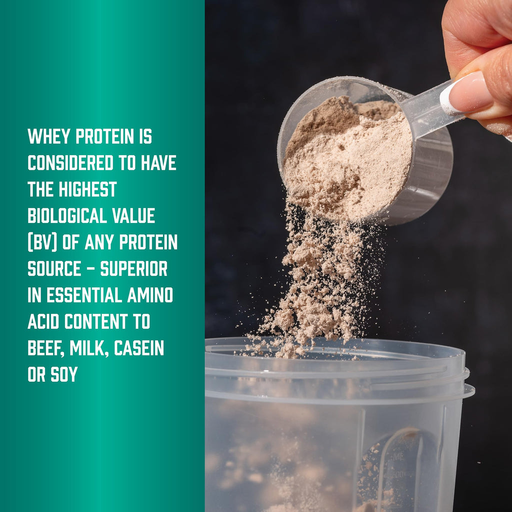 Whey Protein Isolate 25 g With BCAAs Chocolate 5 lbs X531356