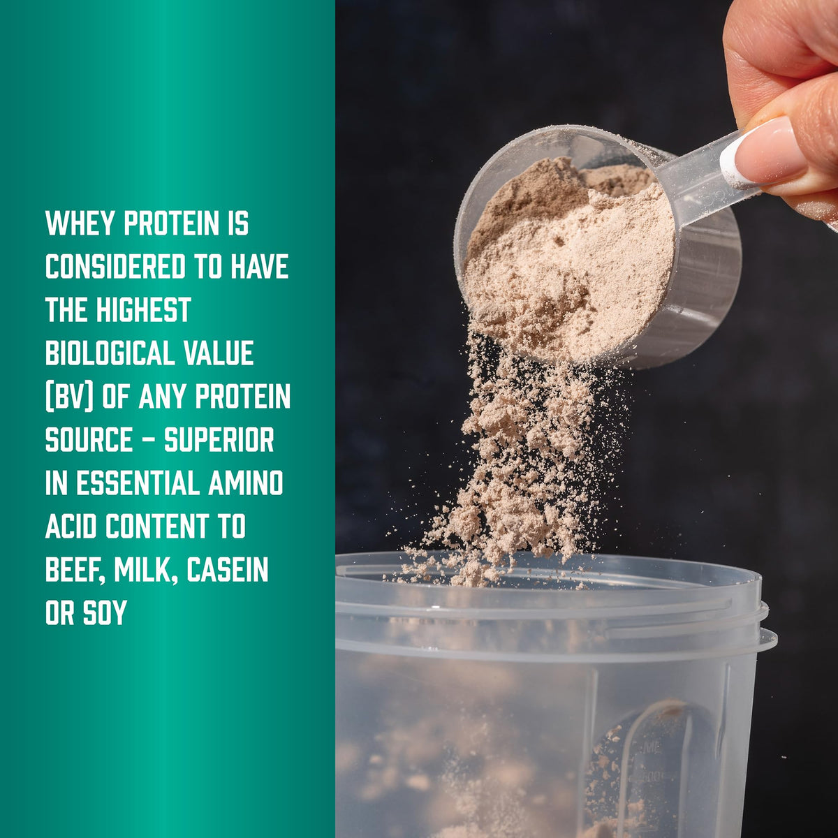 Whey Protein Isolate 25 g With BCAAs Chocolate 5 lbs X531356