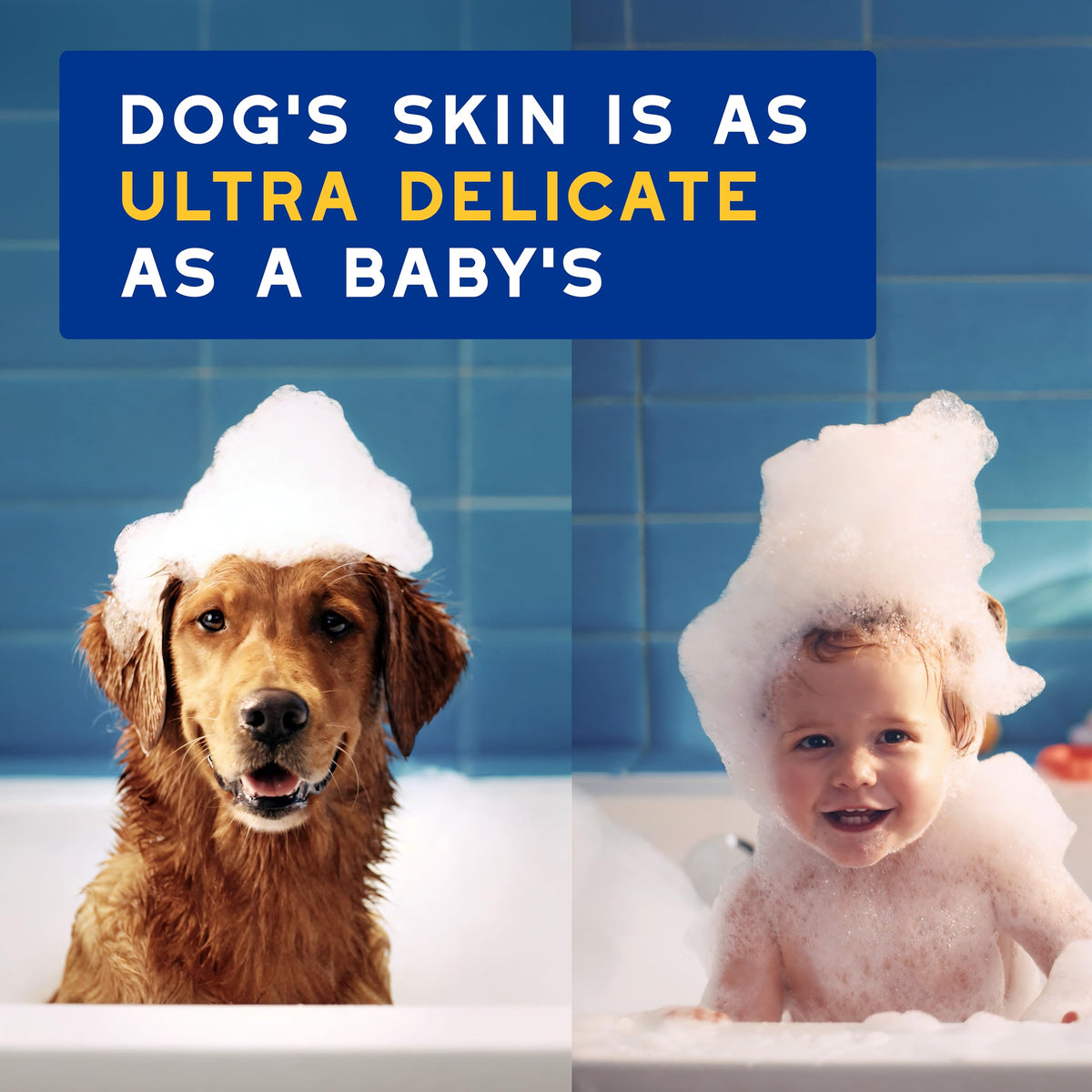 Oatmeal Dog Conditioner, 16 fl oz J660