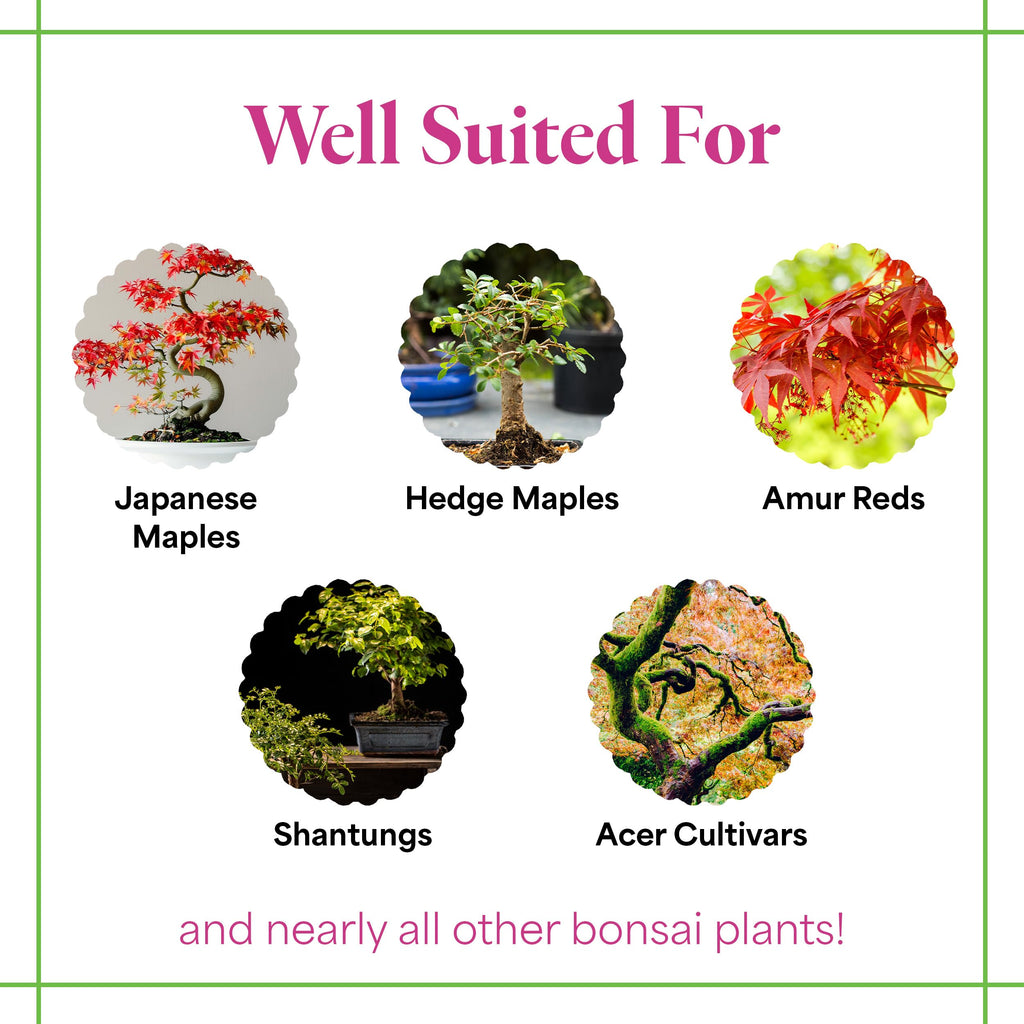Organic Liquid Bonsai Fertilizer 8 oz Concentrate C665