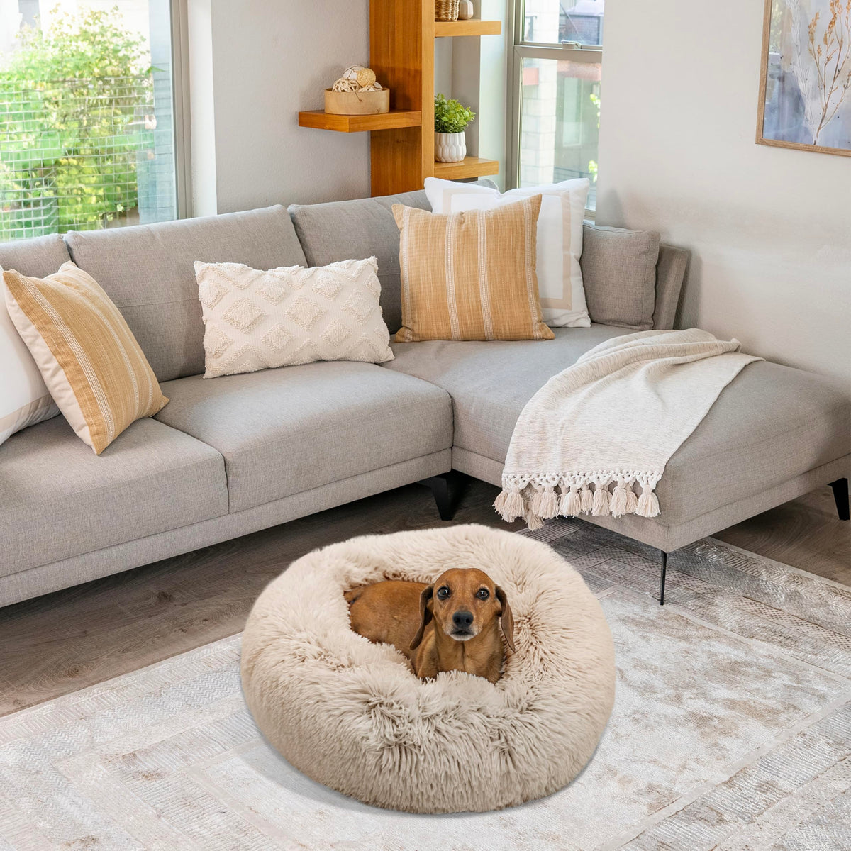 Small Taupe Dog Bed I44205