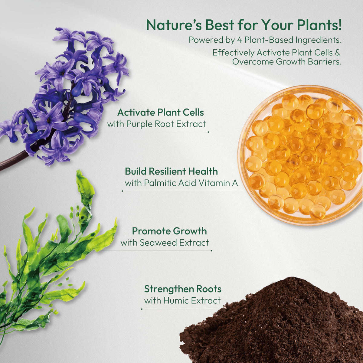 Liquid Plant Food & Fertilizer Concentrate V50479