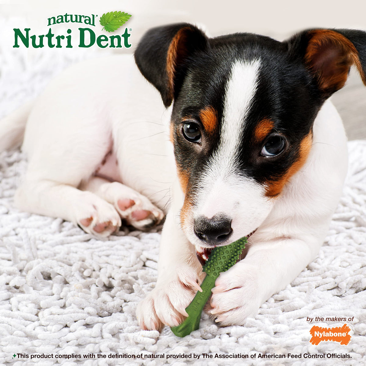 Natural Dog Dental Chews, Small 28 Count Z2553